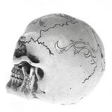Crâne Déco Design LED | Crâne Nation